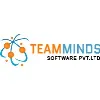TeamMinds Software Private Limited TeamMinds Software Private Limited