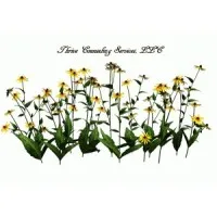 Thrive Counseling Services LLC