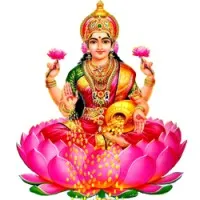 VIJAYALAKSHMI ENTERPRISES