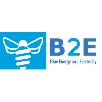 Blue Energy and Electricity