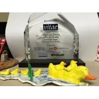 Vitae Pharmaceuticals