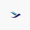 vmoaero vmoaero