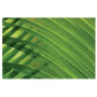 Organic Solutions LLC