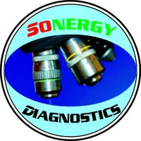 Sonergy Diagnostics Limited