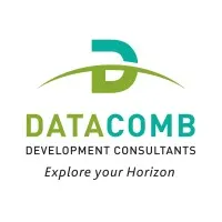 Datacomb Consultants