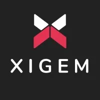 Xigem Technologies