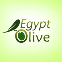 Egypt Olive Egypt Olive