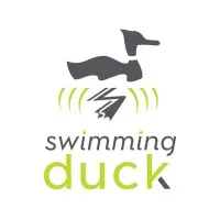 Swimming Duck