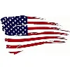 Freedom Scaffold