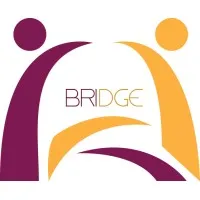 Bridge Billing Services LLC