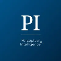 Perceptual Intelligence®