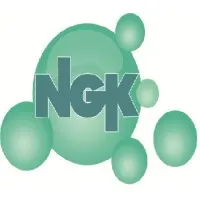 NGK & Associates Limited
