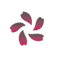 Kaiso Solutions | Seattle Web Design