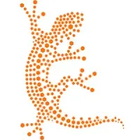 Gecos Transformación Digital