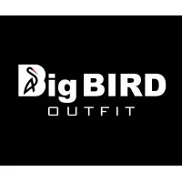 BigBirdOutfit