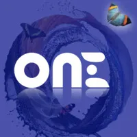 ONE : Our Network Evolution