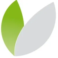 Green IT Consulting
