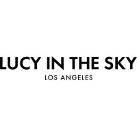 LUCY IN THE SKY INC