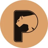 Pantherum Solutions Group