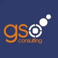 GSO Consulting
