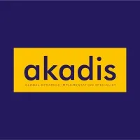 ERP Specialists | AKADIS GLOBAL