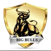 bigbulls.77