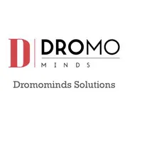 Dromominds Solutions Dromominds Solutions