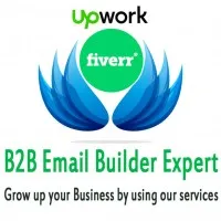 B2B Email Builder Expert