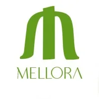 Mellora Infrastructure Pvt Ltd