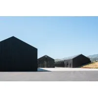 Piechota Architecture
