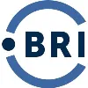 Business Risks International