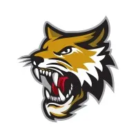 Vermilion County Bobcats