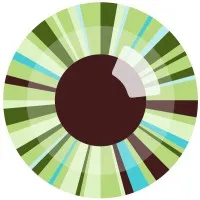 Northwest Eye Design