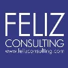 FELIZ Consulting