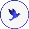 Bluebird Advisory Bluebird Advisory