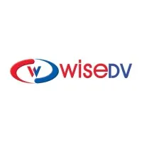 WISEDV INC.