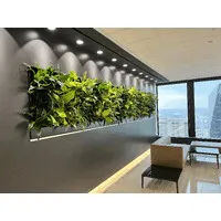 Living Wall Concepts