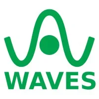WAVES ENGINEERING