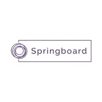 Springboard Search Group LLC