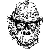 GoGORILLA Media GoGORILLA Media