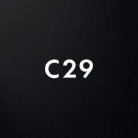 Concepto29