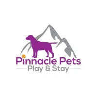 Pinnacle Pets Play & Stay