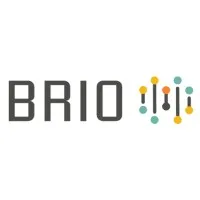 BrioPartners