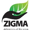Zigma Global Environ Solutions Pvt. Ltd. (Part of the Blueplanet group) Zigma Global Environ Solutions Pvt. Ltd. (Part of the Blueplanet group)
