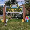 Barnegat Animal Clinic