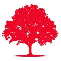 Alnus Yatırım Menkul Değerler A.Ş.