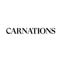 Carnations