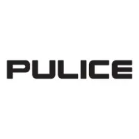 Pulice Construction