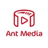 Ant Media Ant Media