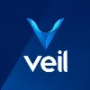 VEIL-Project VEIL-Project